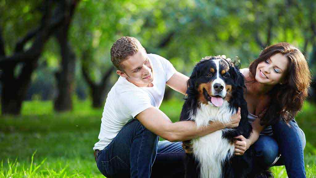 couple with their dog